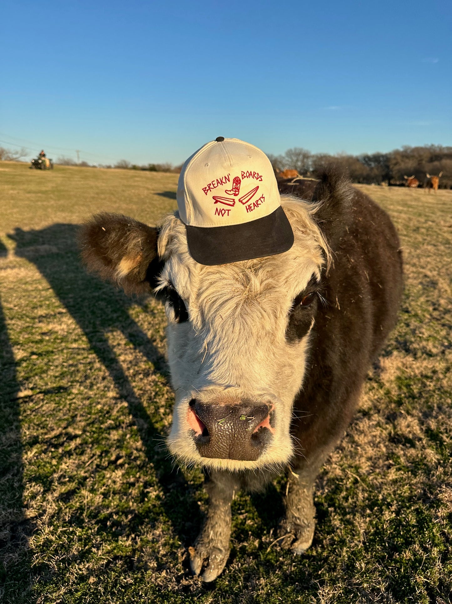 Break Boards Hat